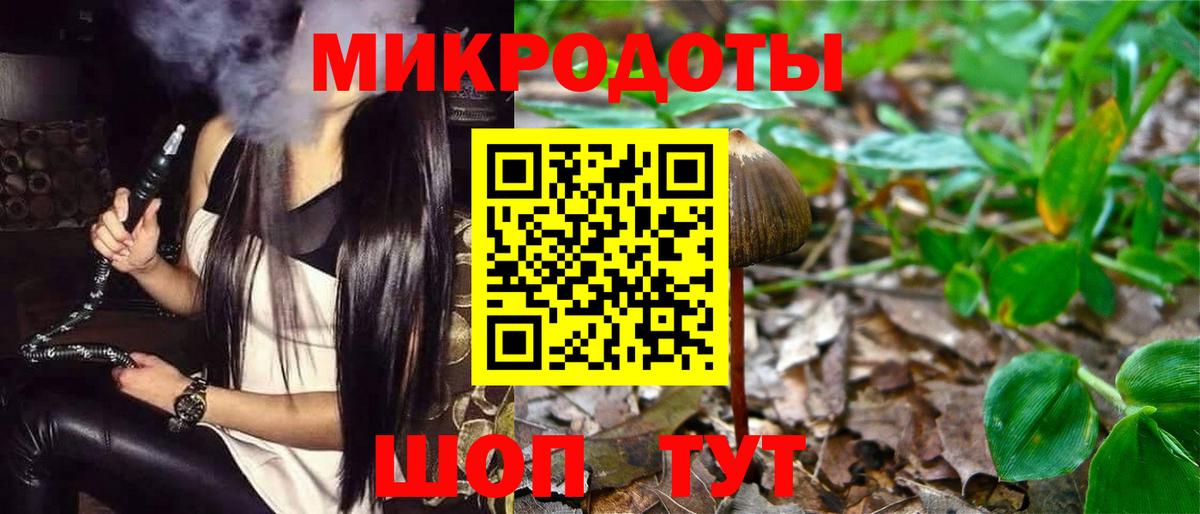 Псилоцибиновые грибы GOLDEN TEACHER Елабуга